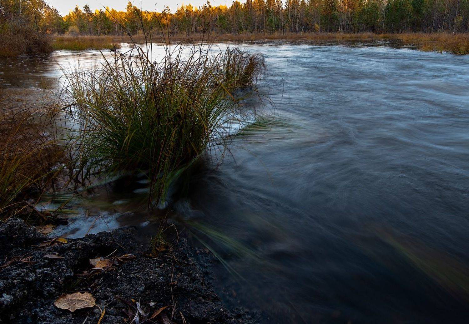 , Комеров Роман