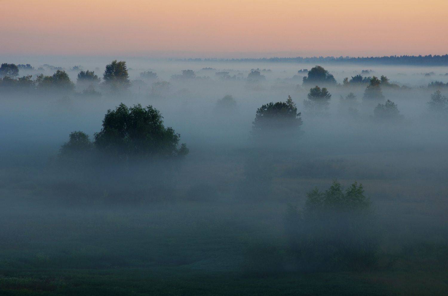 , Сергей Шляга