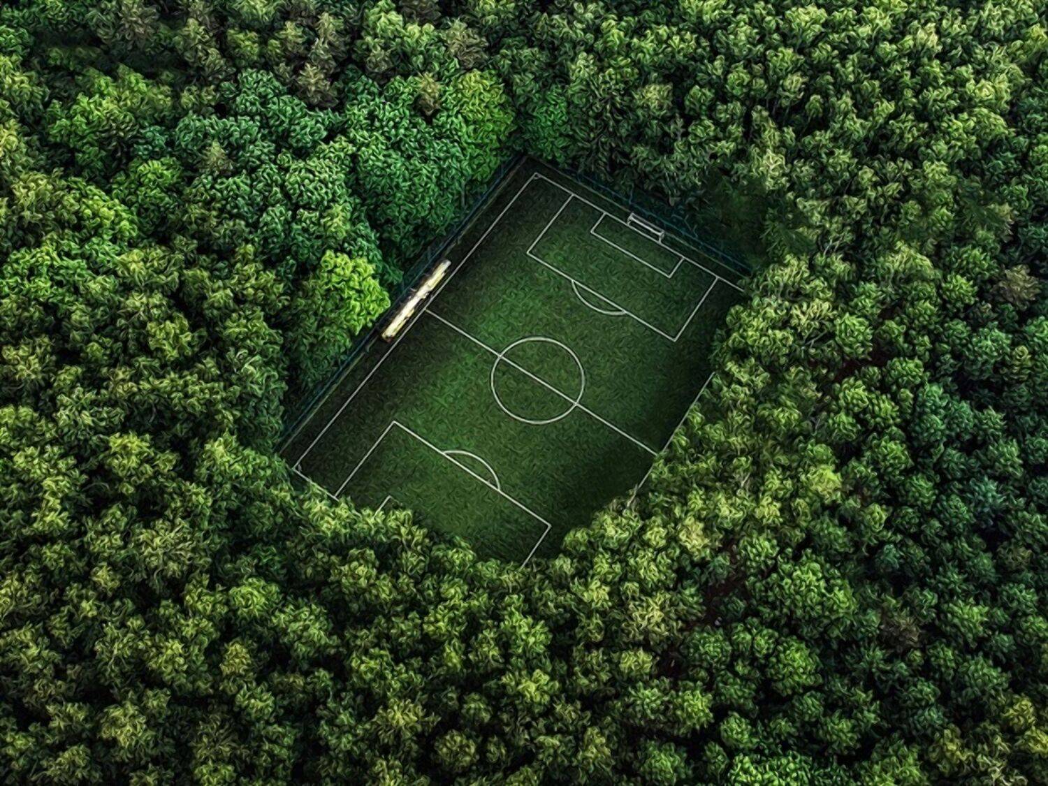 , Александр Шандов