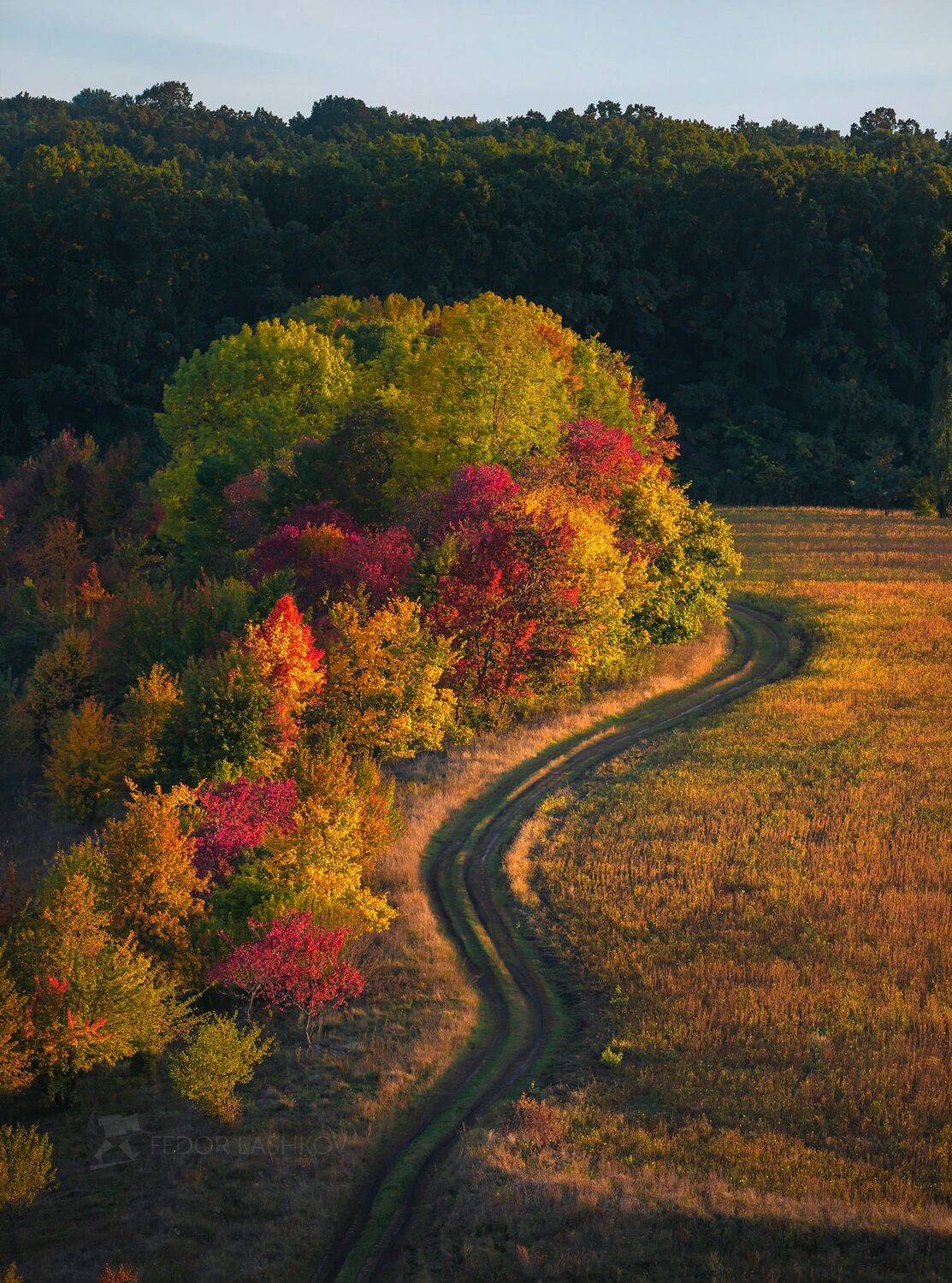 белгородская область, осень, осенний, закат, жёлтый, осенний наряд, дорога, просёлка, просёлочная дорога, опушка леса, лес, лесное, поле,, Лашков Фёдор