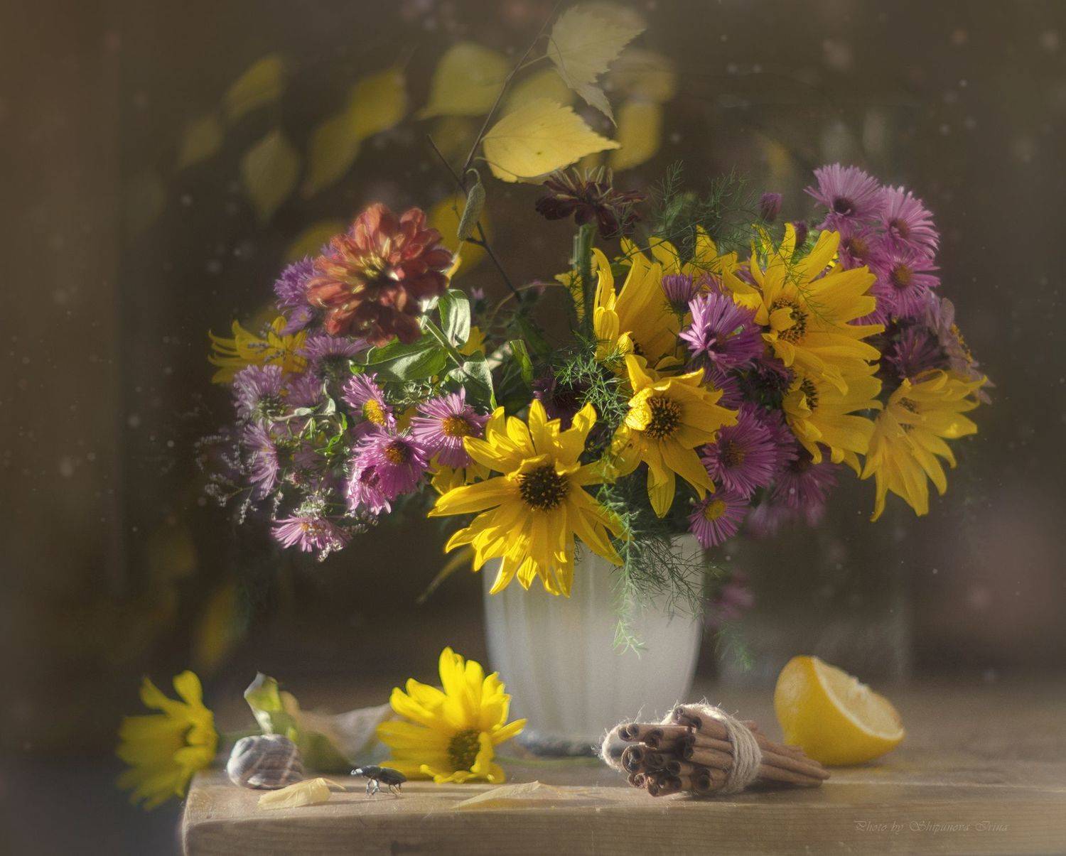 , Шипунова Ирина