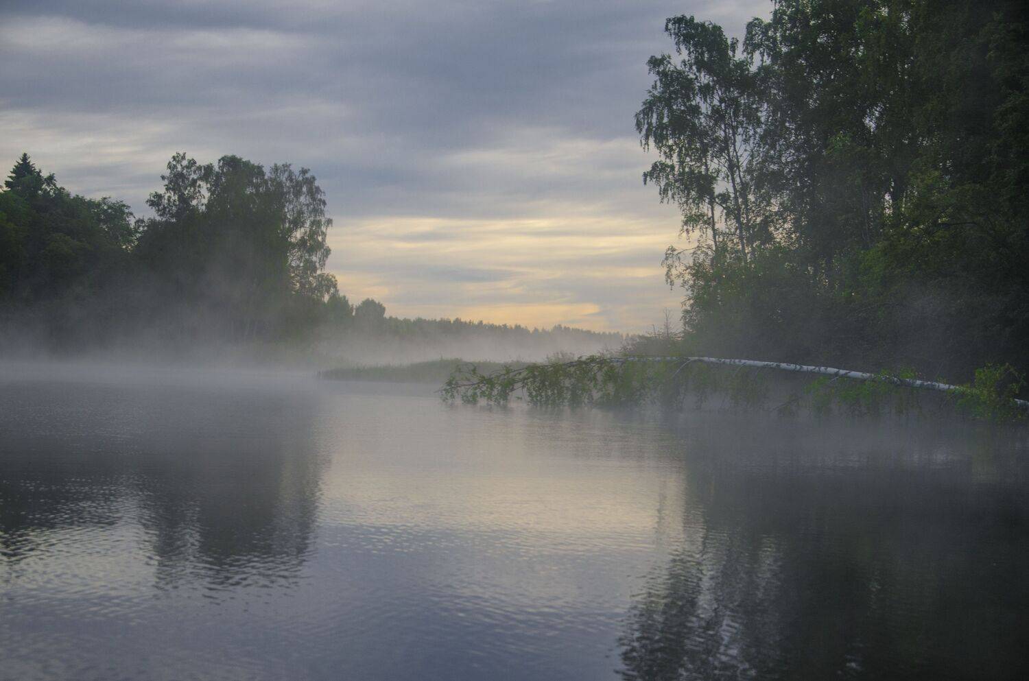 природа. туман. утро, Александр Березуцкий