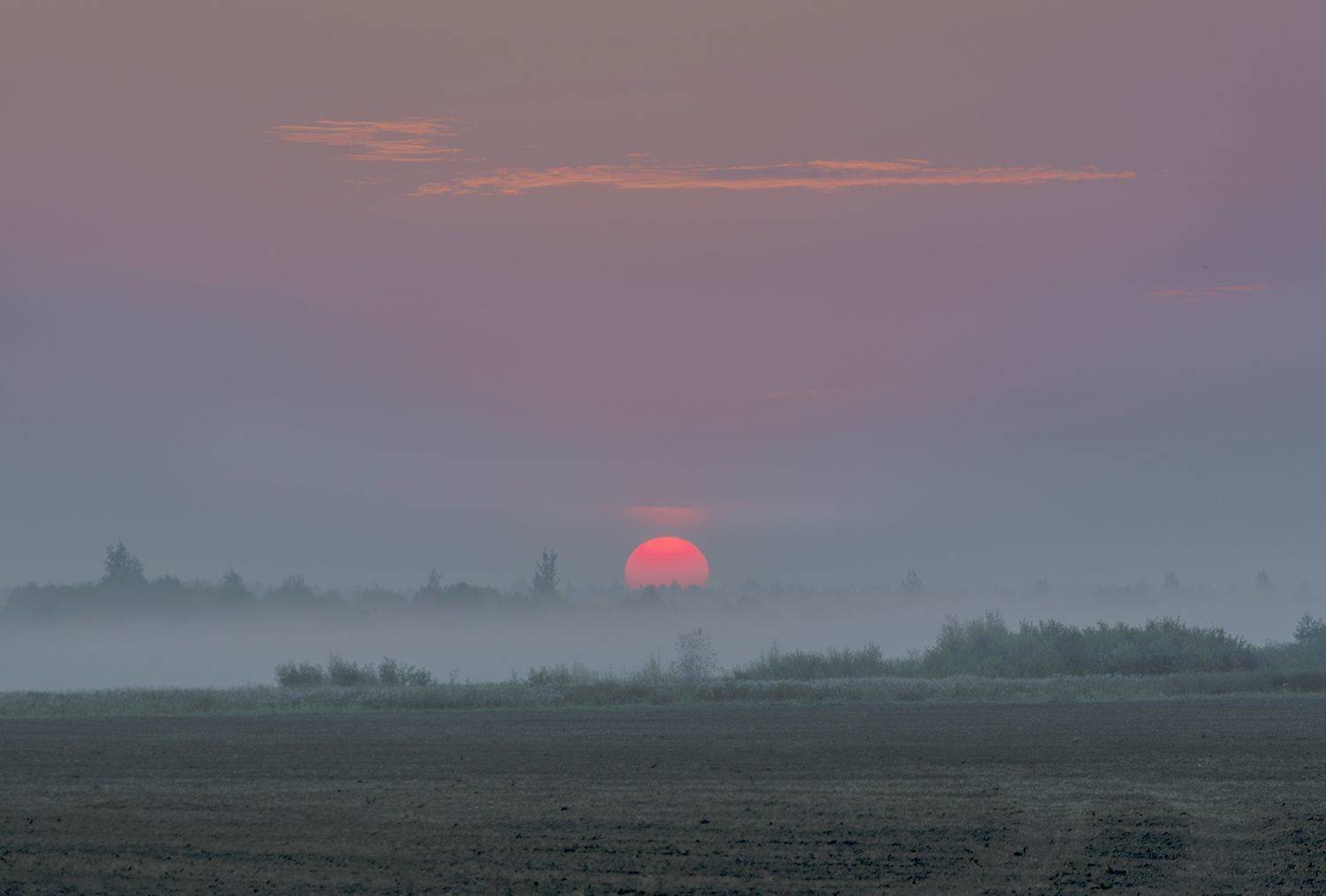 , Волоцков Александр