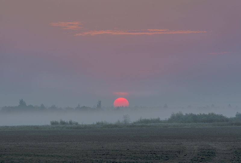 занималась алая заря фото превью
