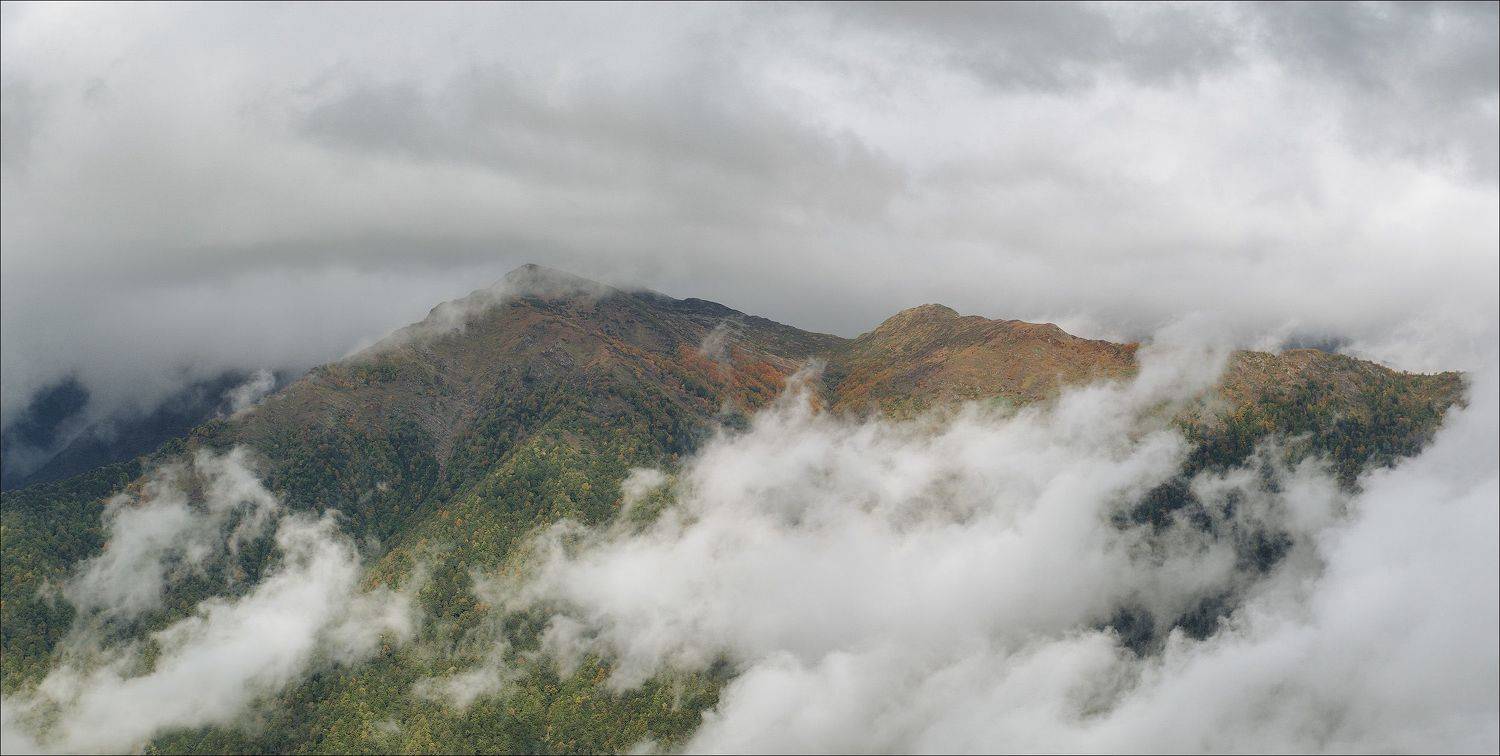 , Роман Чудинович