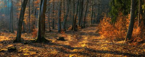 Colors of Springtime