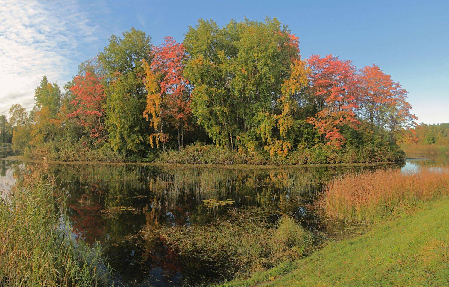 , Сергей Григорьев