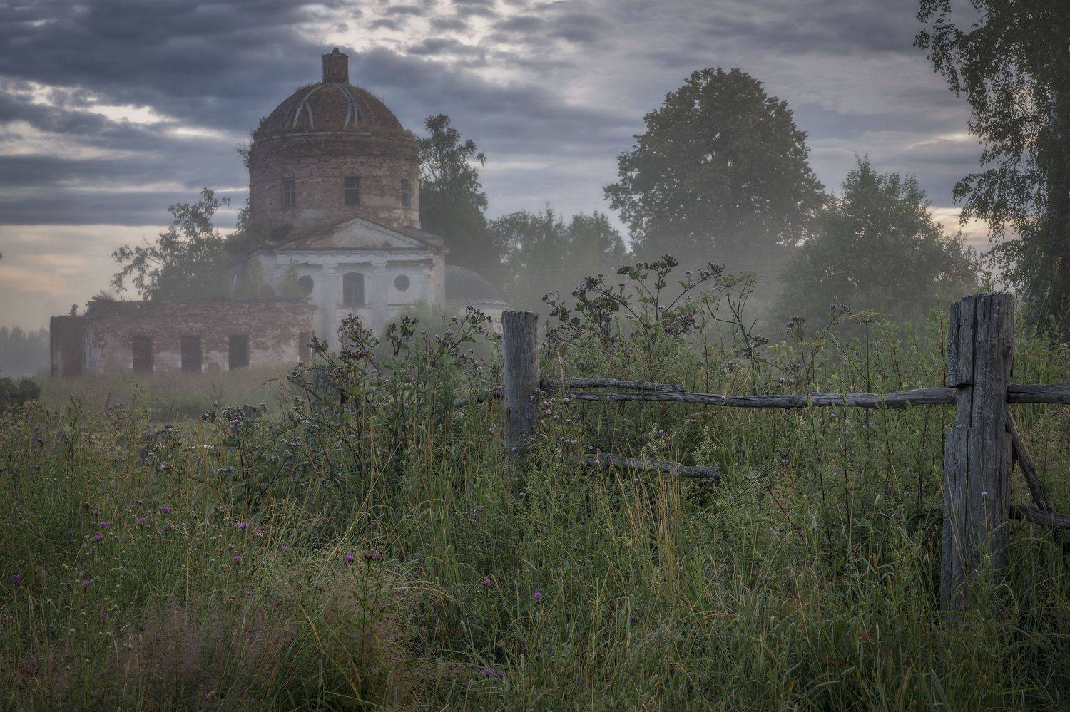 Тверская область, Гусева Елена