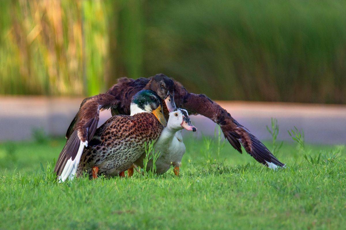 , Людмила Бекман