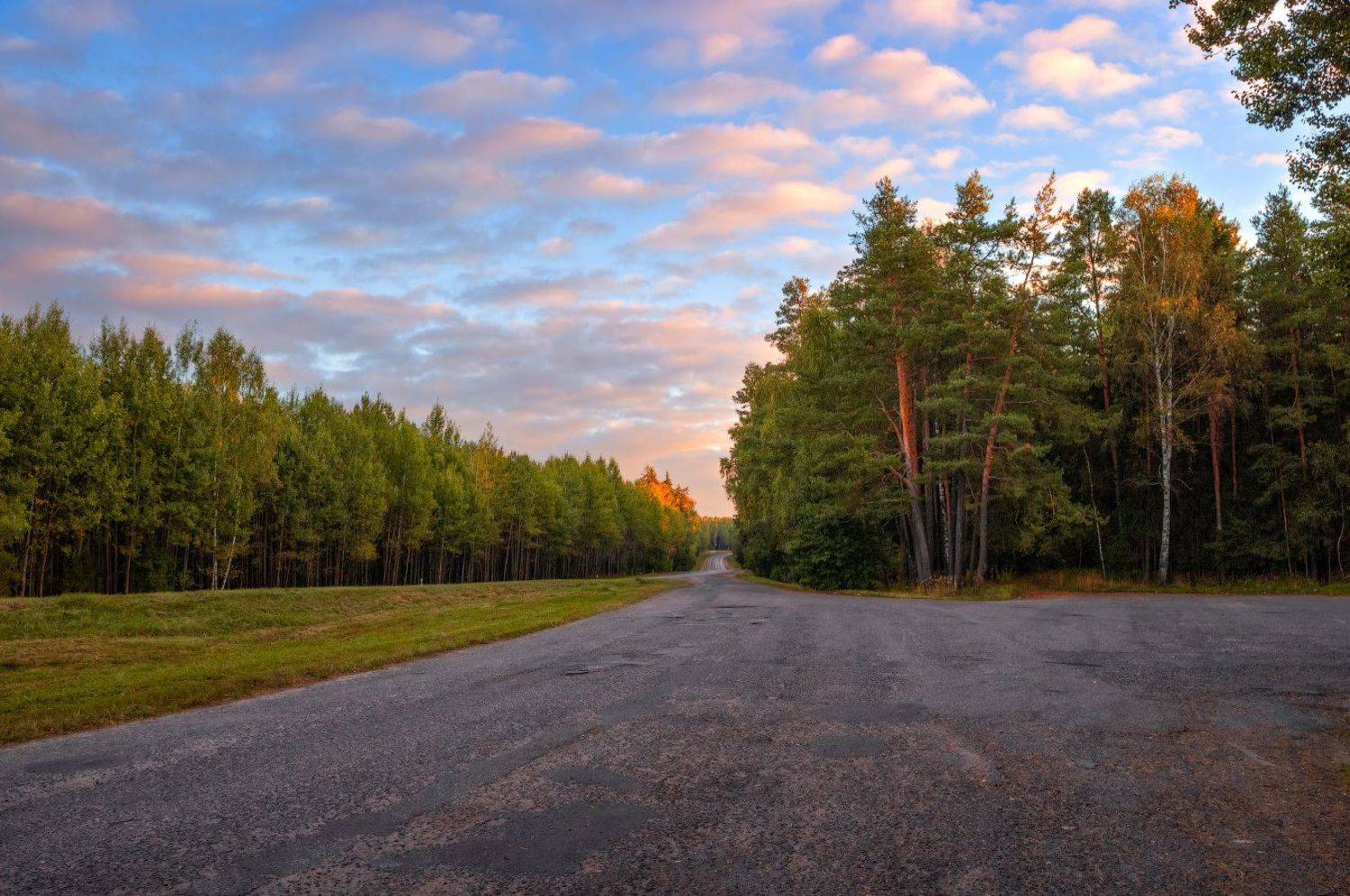 утро, дорога, лес,, Сергей Шабуневич