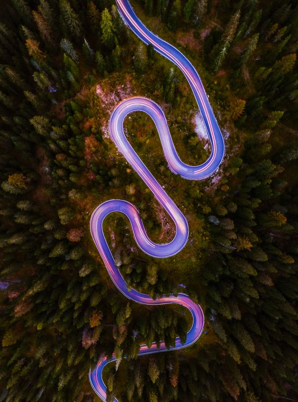 Dolomites snake фото превью