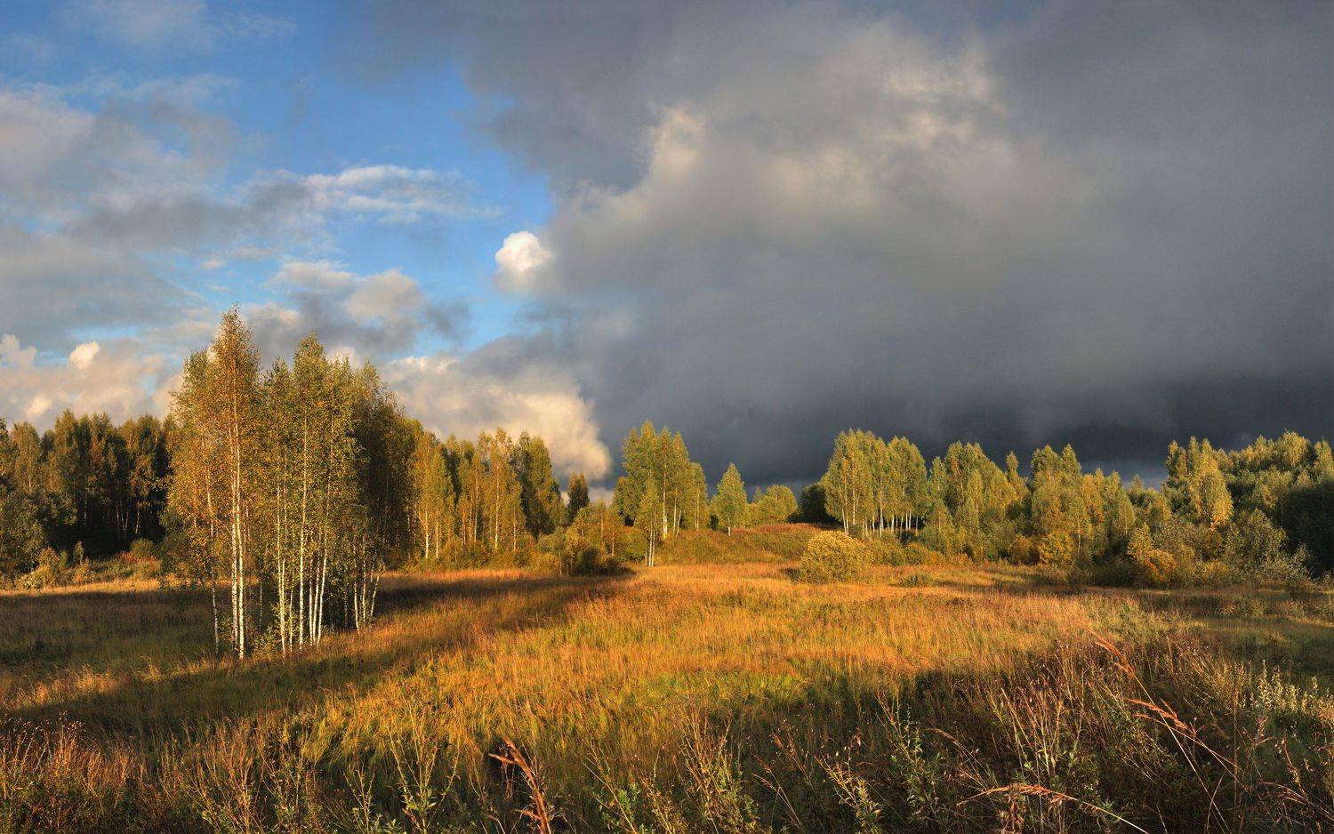 осень, Александр Свистков