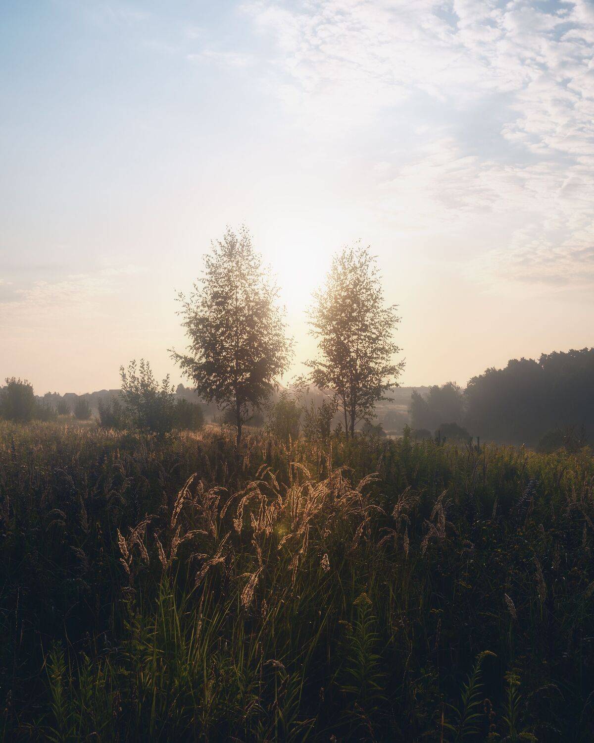 природа, пейзаж, рассвет, Россия, Московская область, Мартыненко Дмитрий