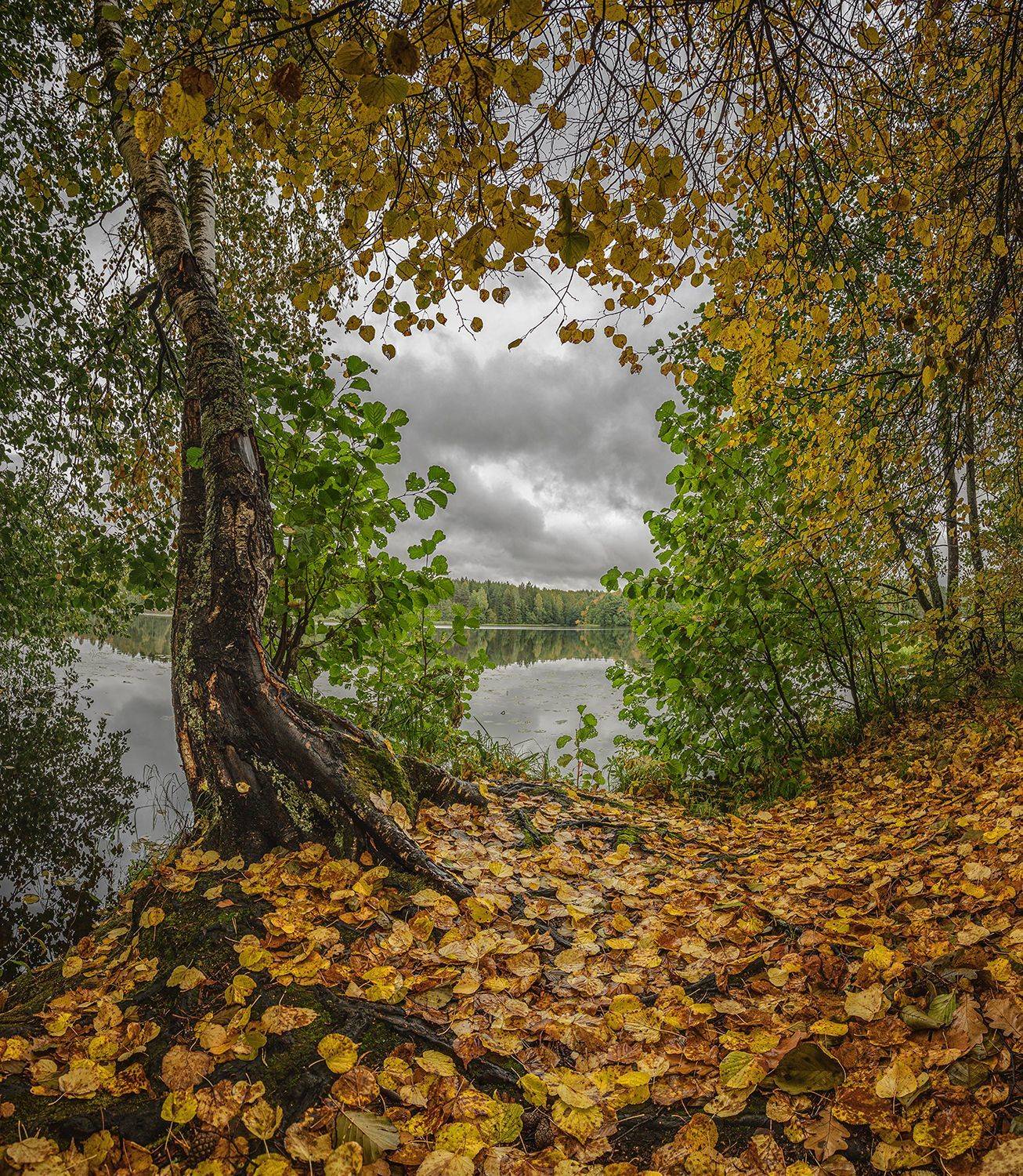 , Николай Андреев