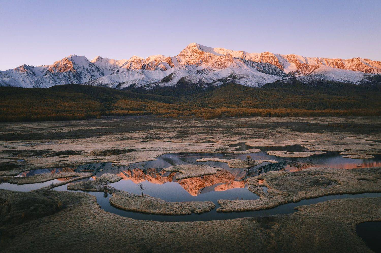 , Разум Митя