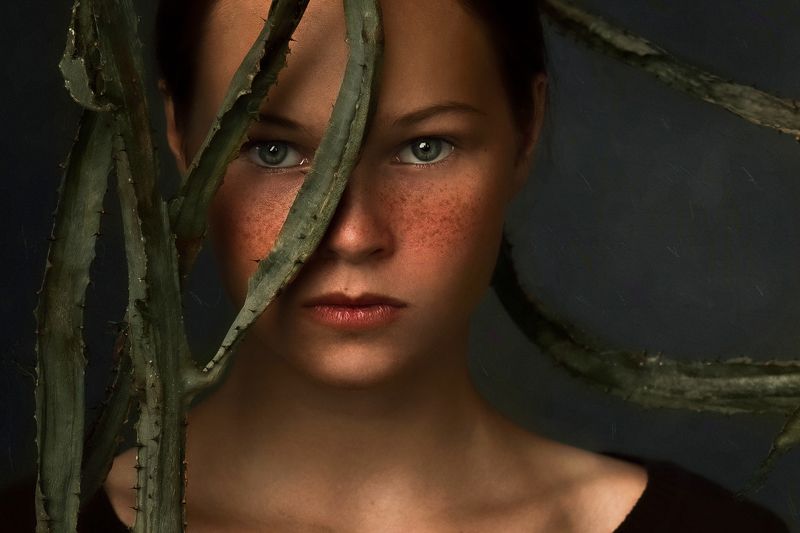 portait Cactus фото превью