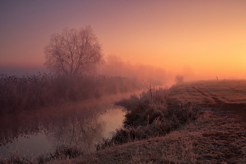 . . . фото превью