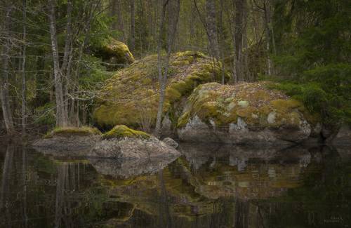 Зеркальные озёра Карельского перешейка