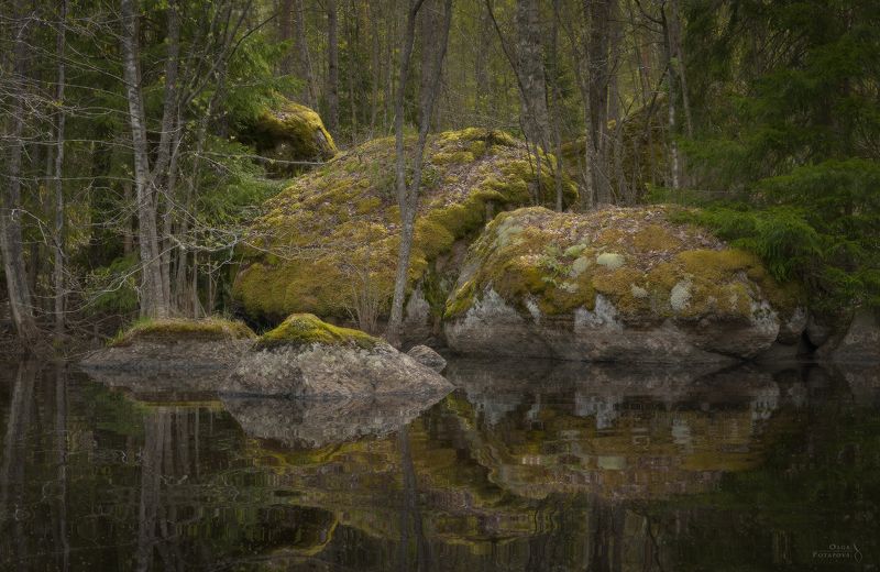 карельский перешеек, ленинградская область, зеркальное озеро, зеркальное отражение, камни, скалы, мох, абстрактный пейзаж, пригороды петербурга, карелия, искусство природы, тайга, северный лес Зеркальные озёра Карельского перешейка фото превью