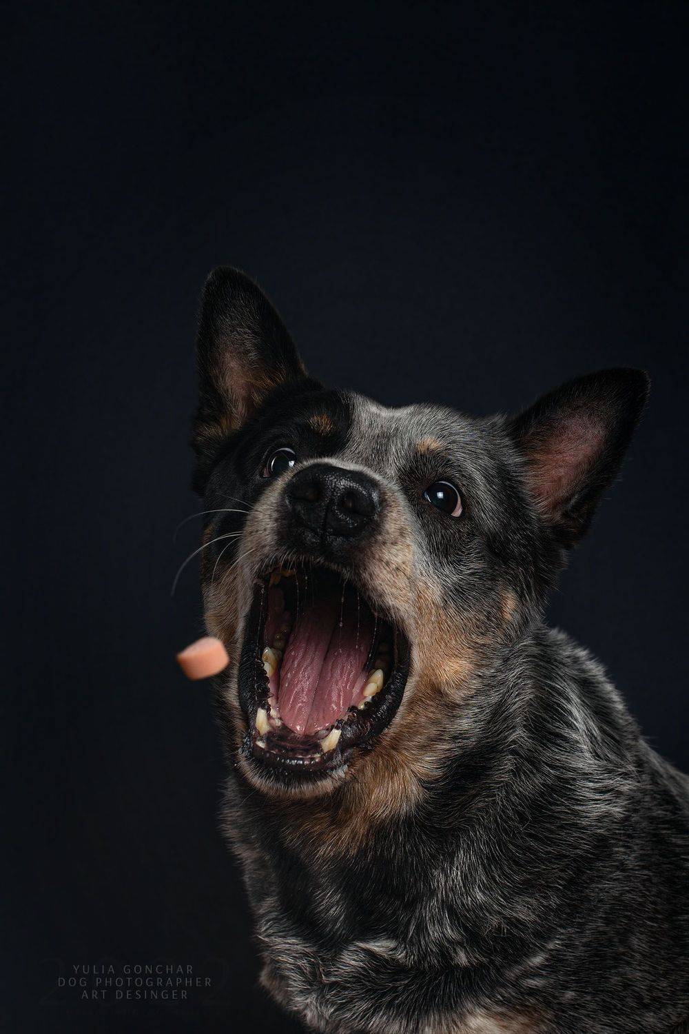 , Юлия Гончар