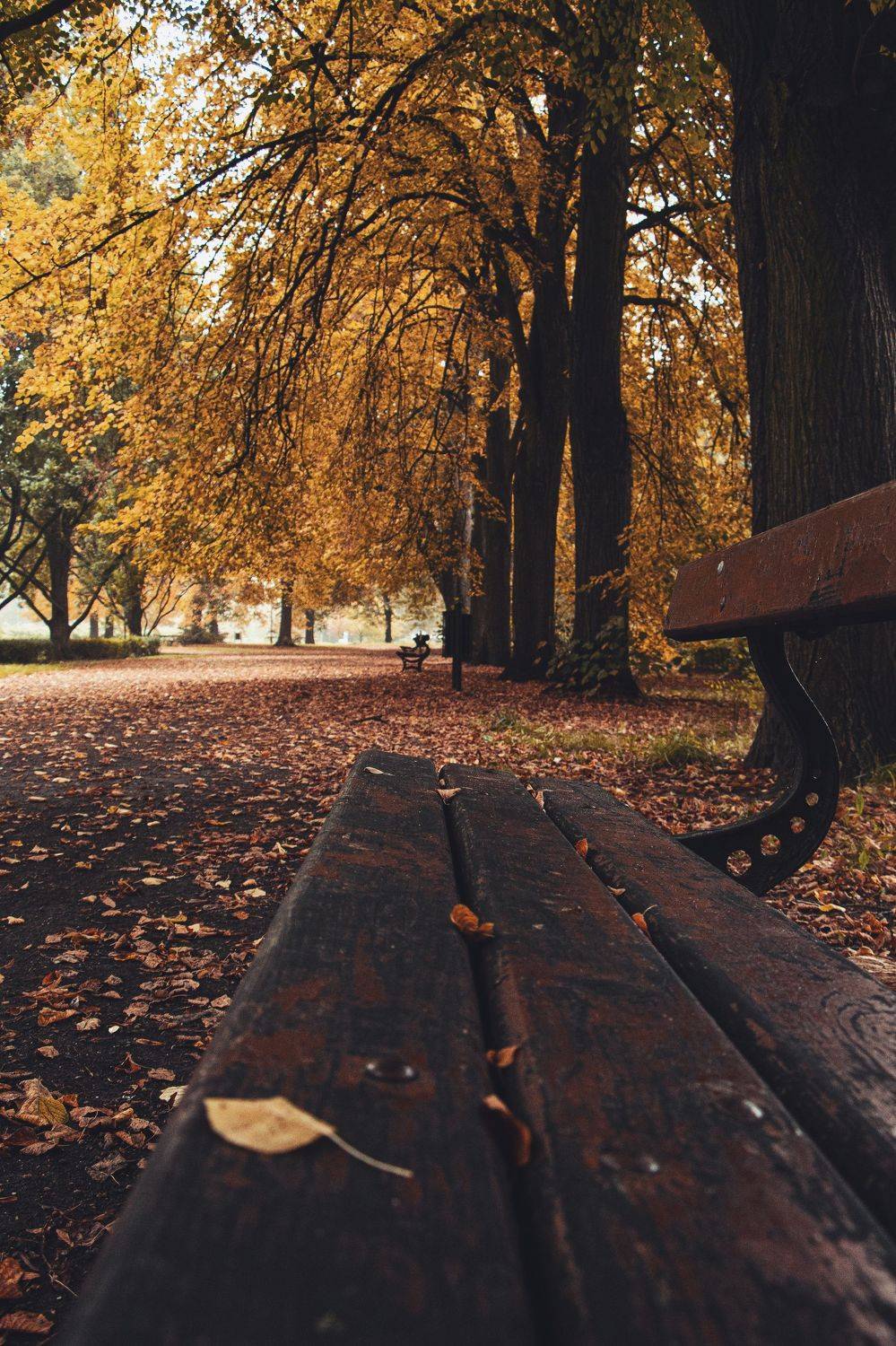 , Жорнова Светлана