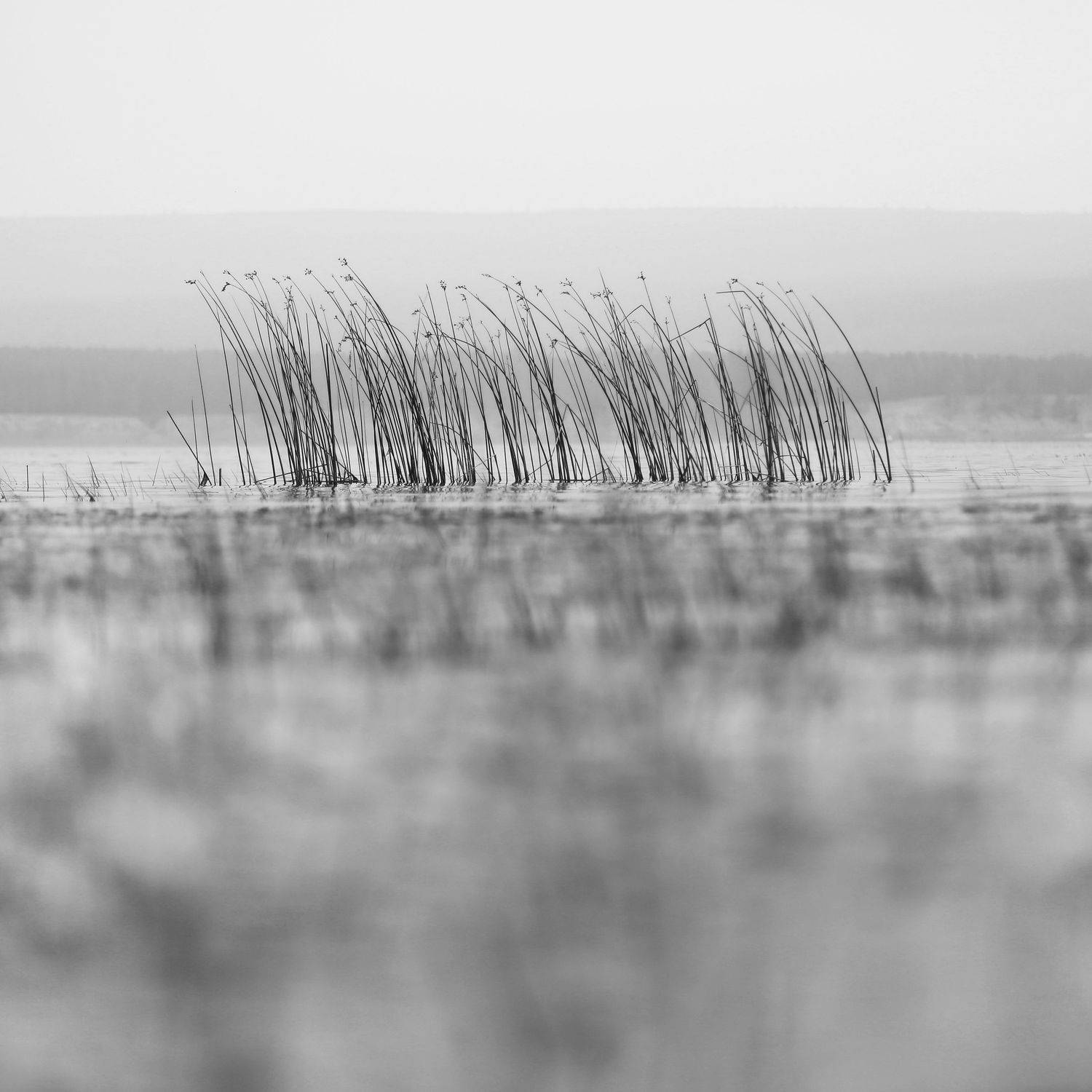 , Андрей Логвинович