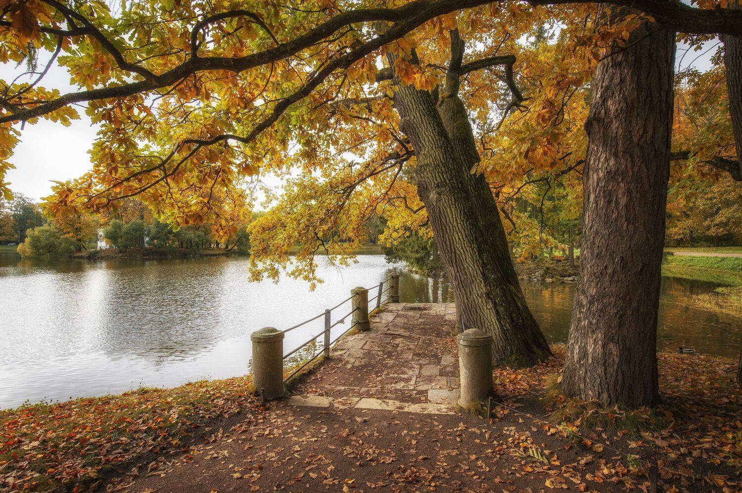 , Кулаков Юрий