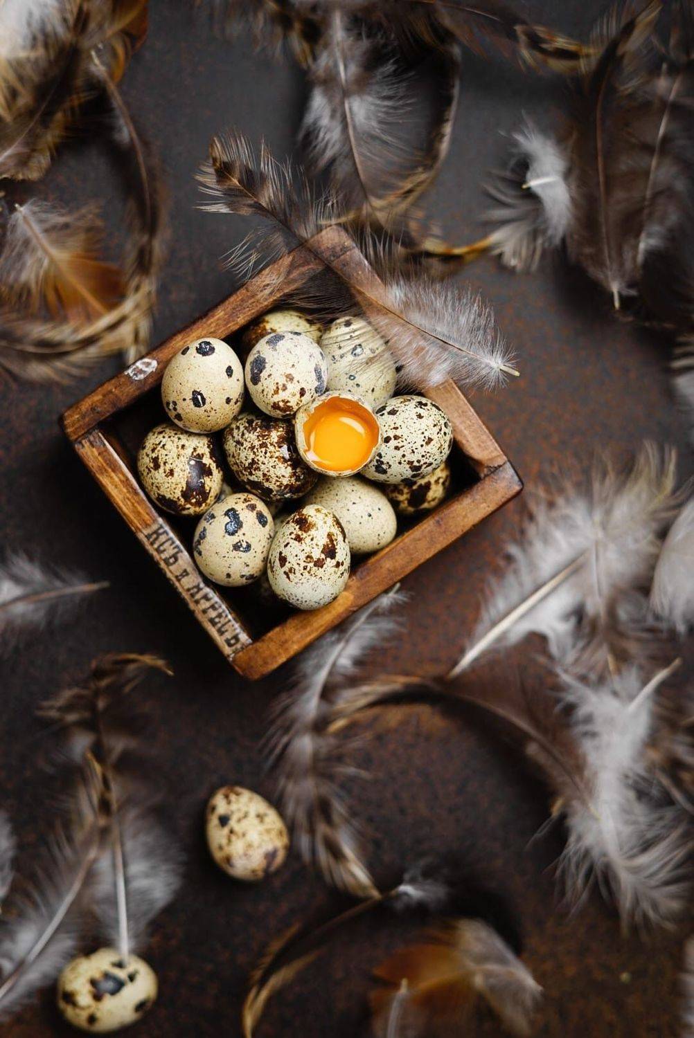 , Олеся Шульц