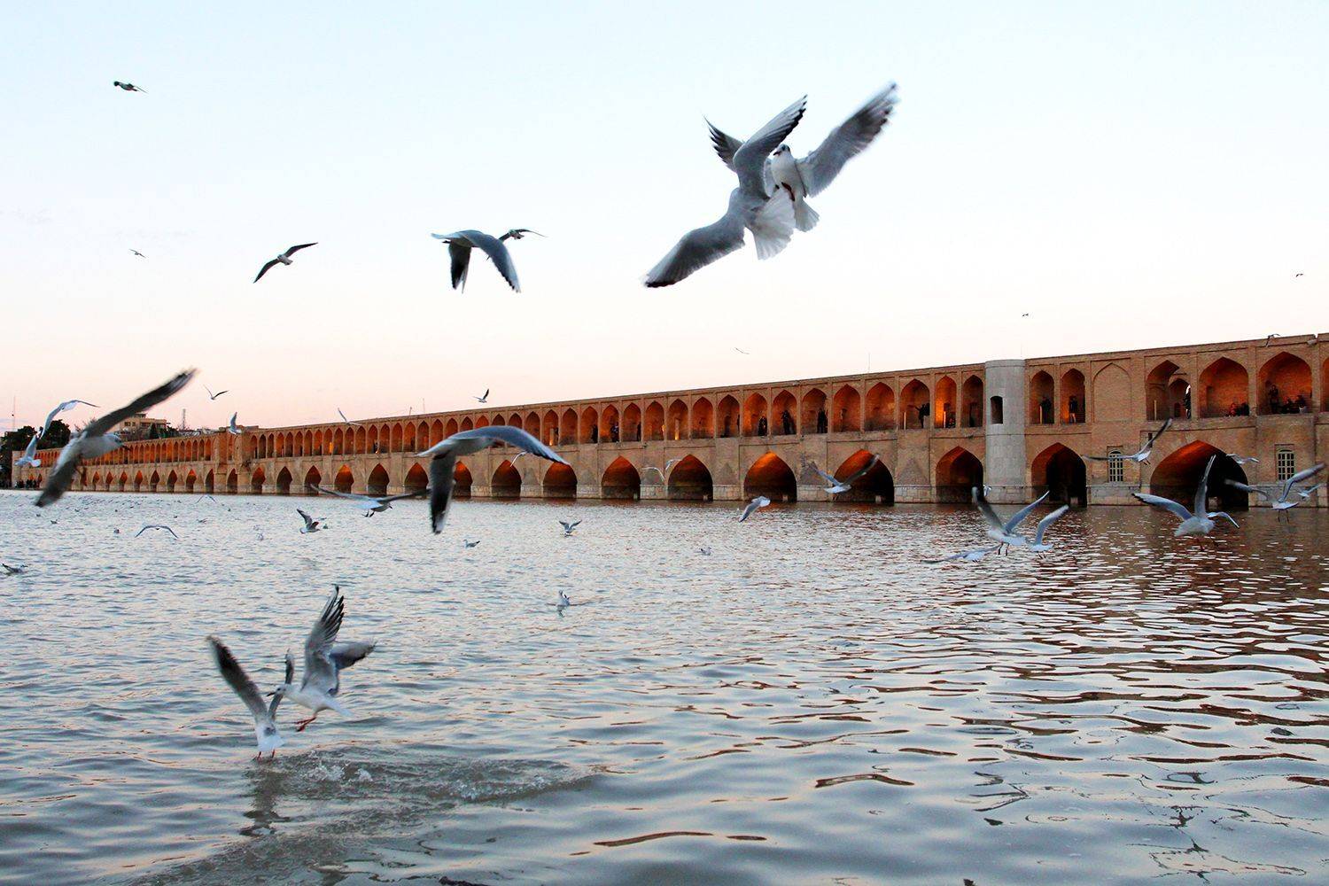 , mehdi karimi souderjani