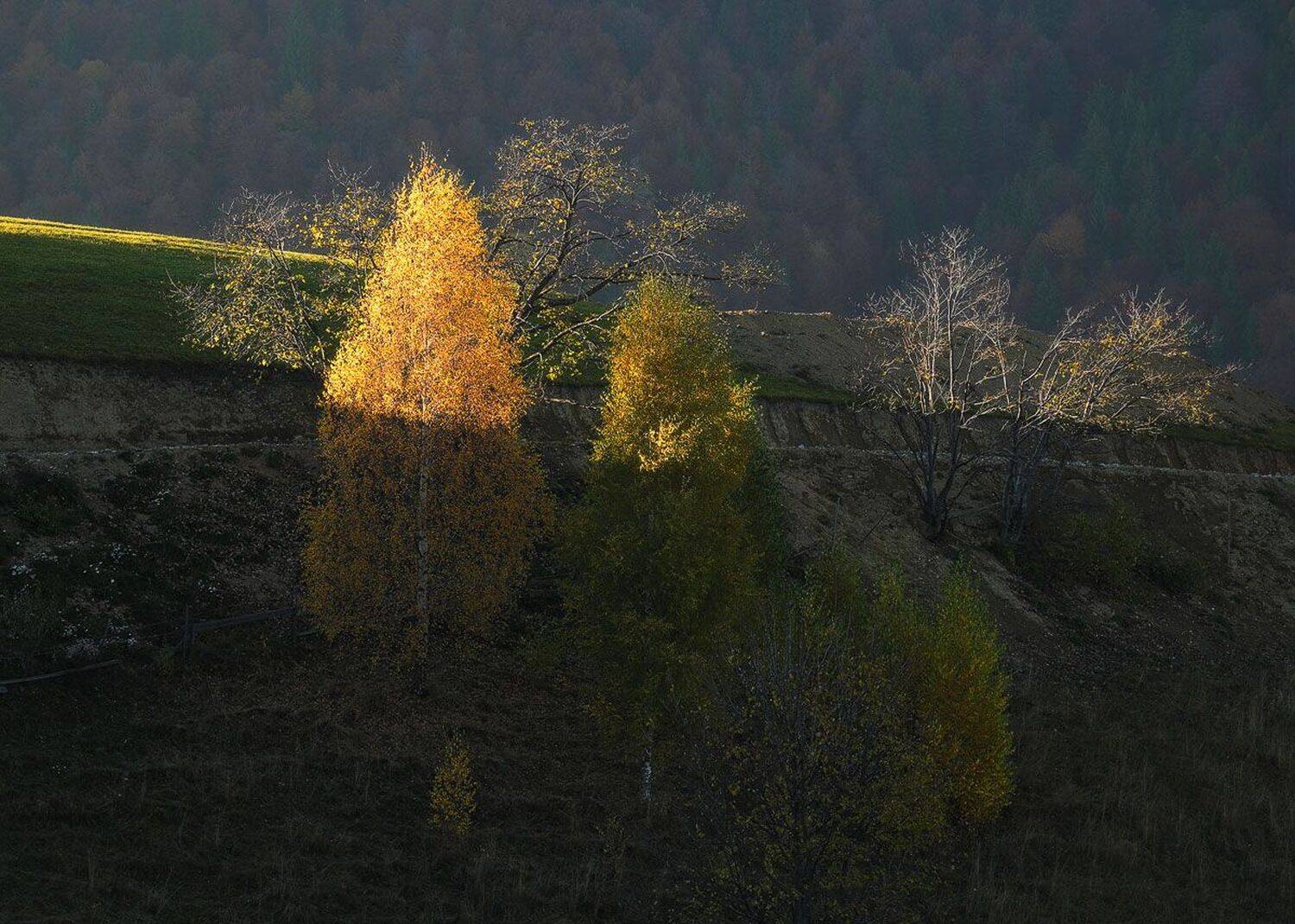 , Stefan Chirobocea
