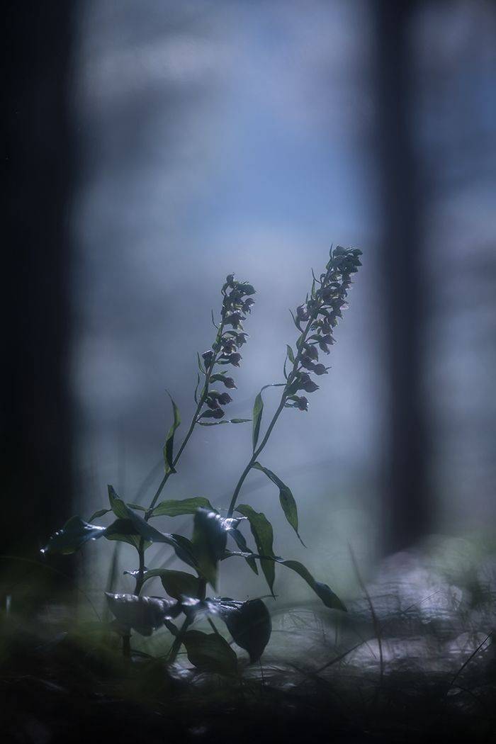 , Илья Михеев