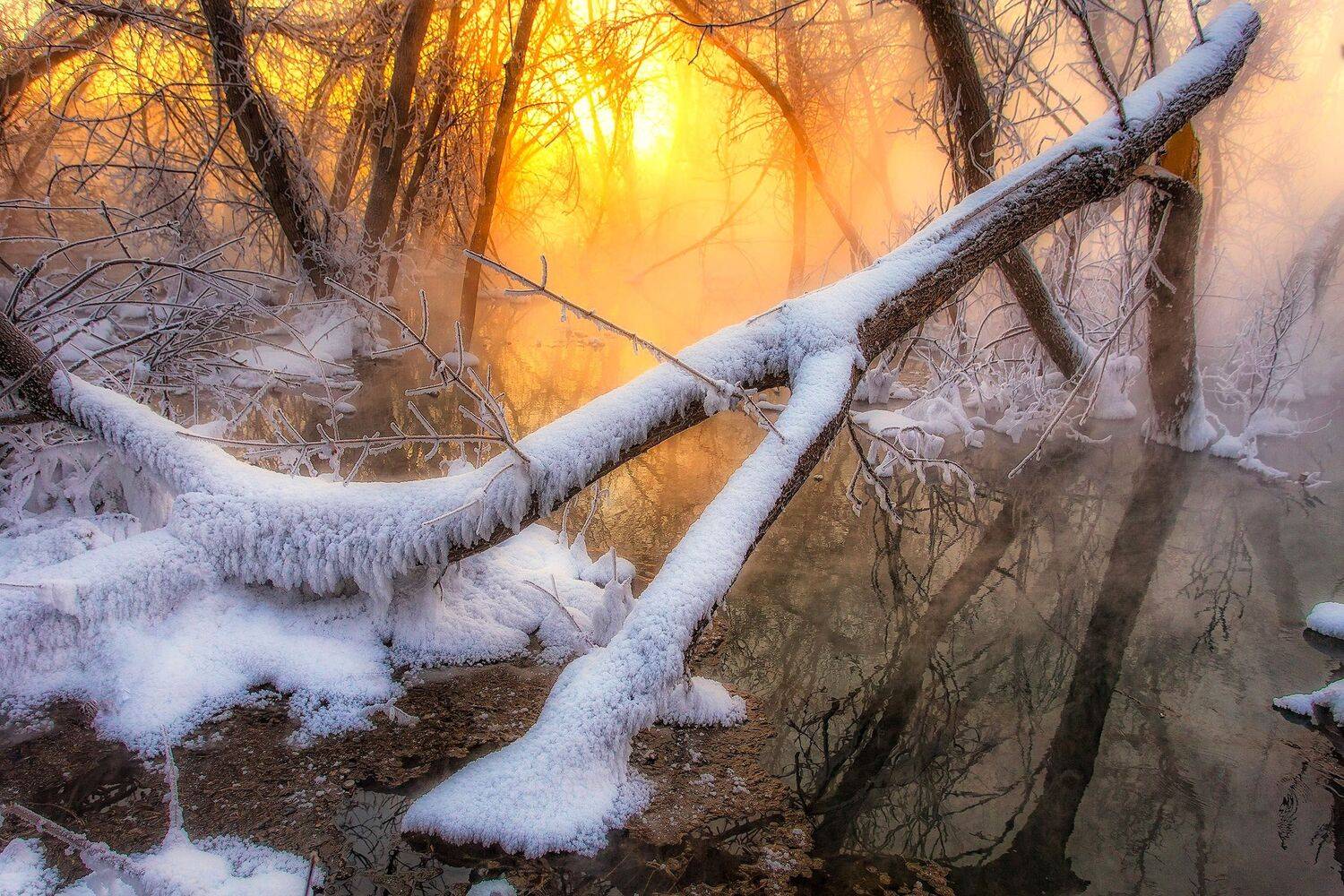 , Павел Сагайдак