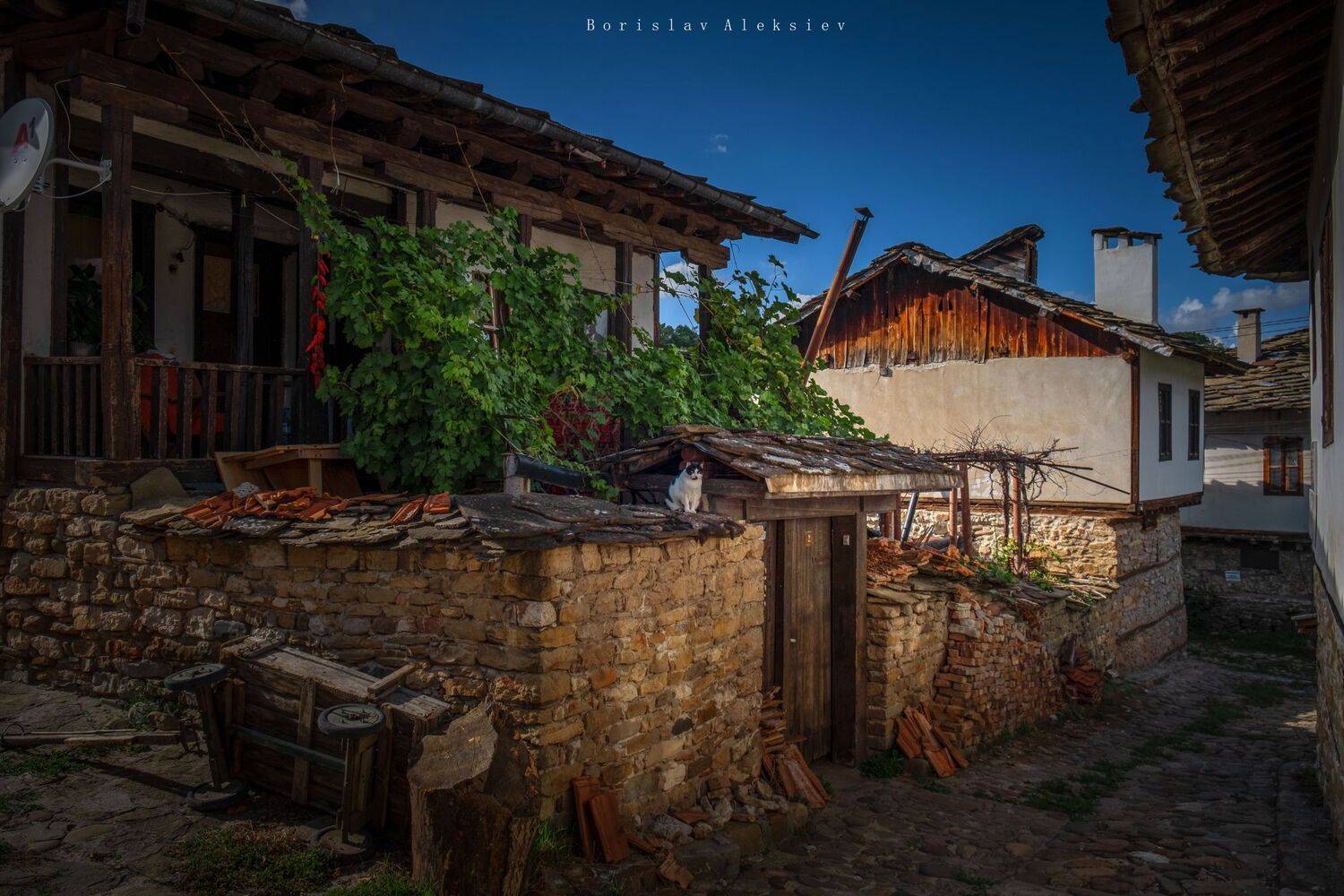 bulgaria,lovech,varosha,travel,green,white,flowers,summer,exterior,building,house, Борислав Алексиев