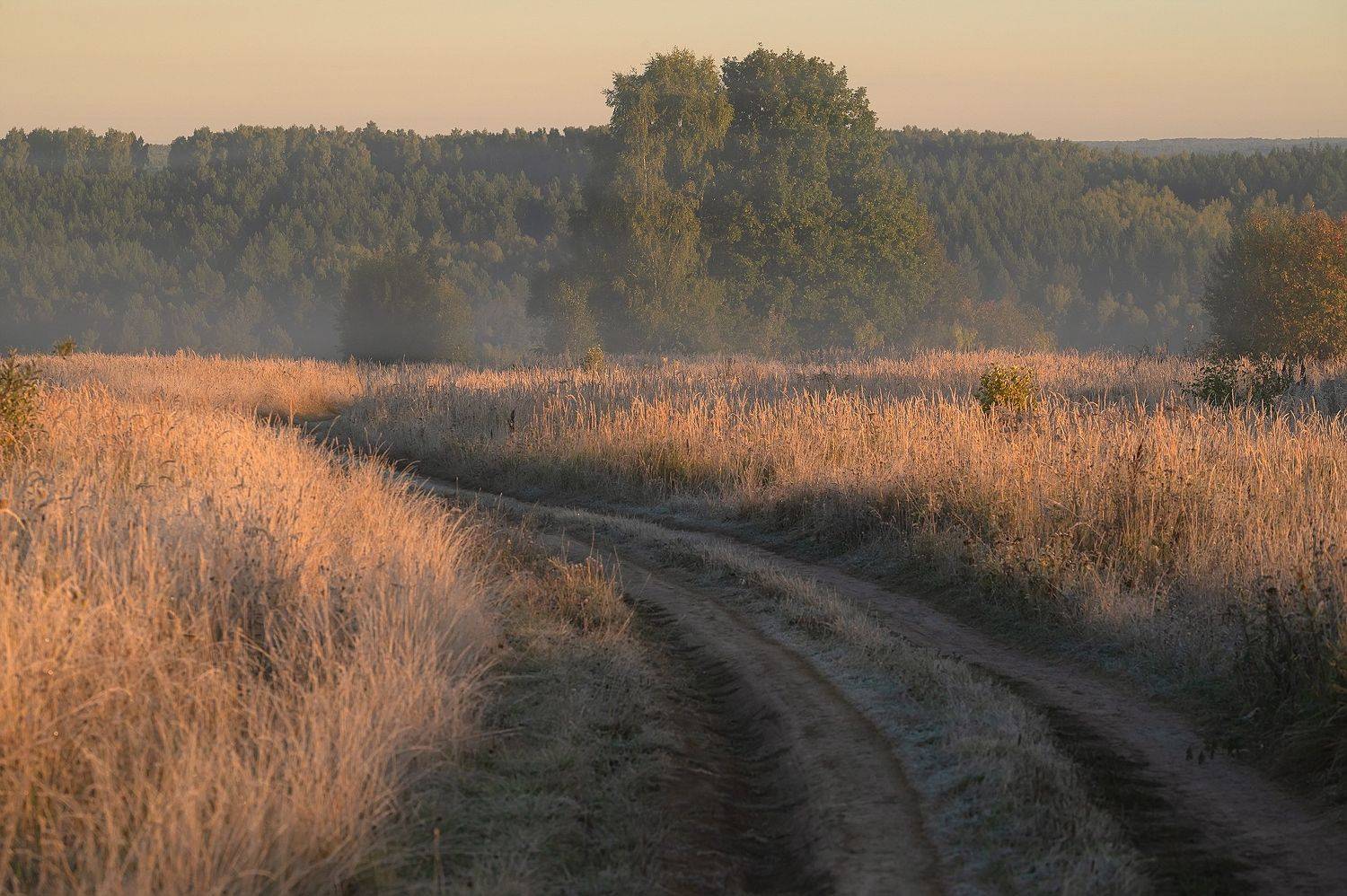 , Стрельцов Виталий