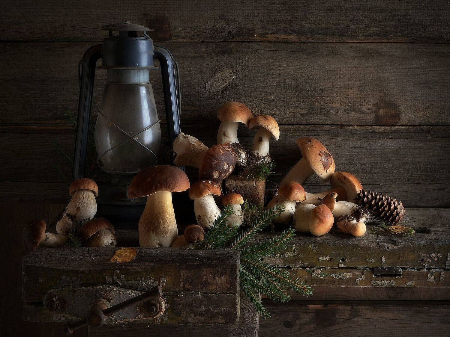 сергей алексеев, натюрморт, Сергей Алексеев