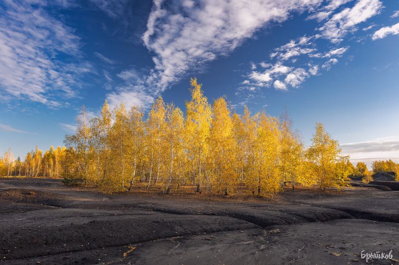 Золотая осень. фото превью