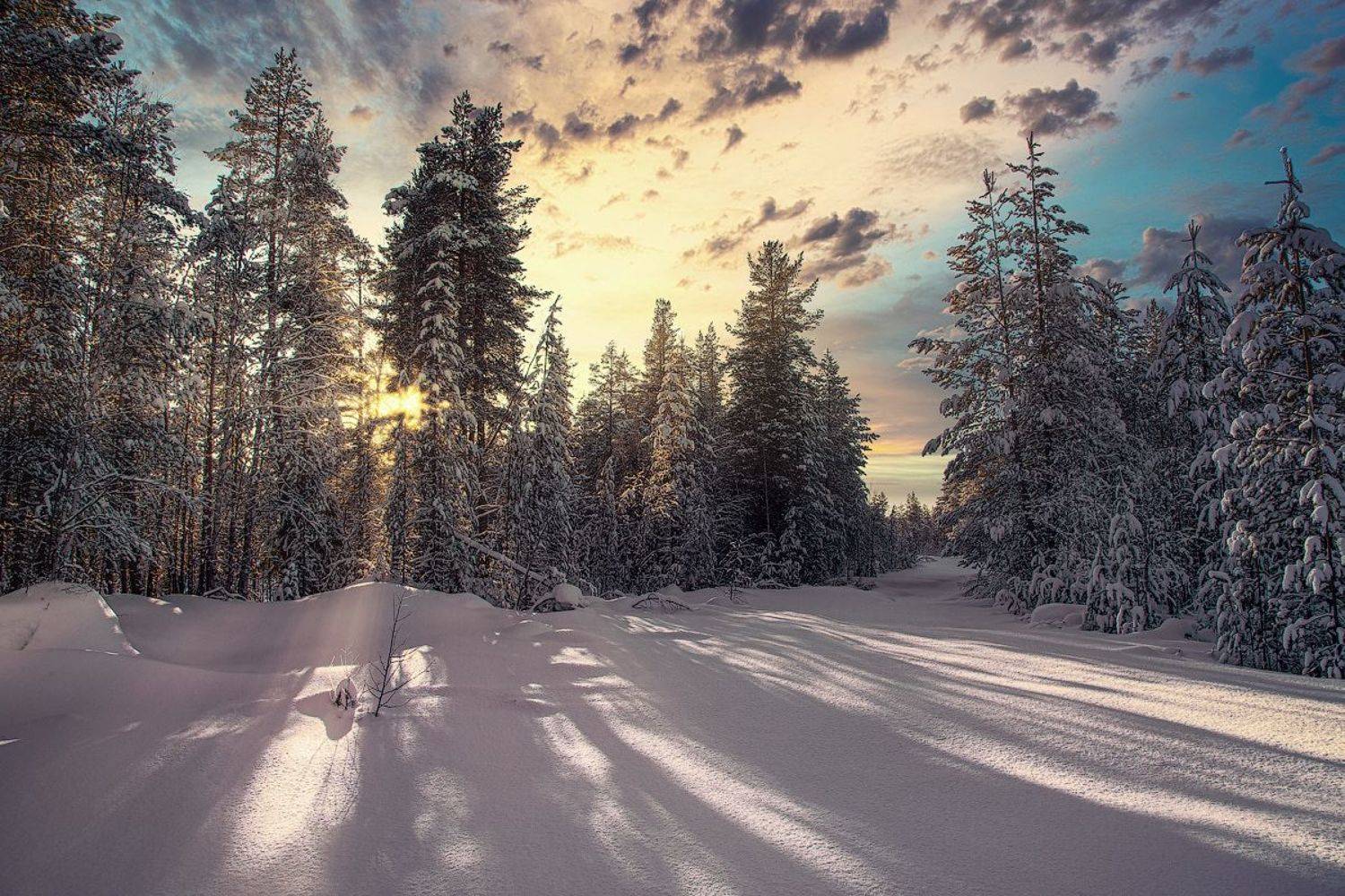 , Покровский Алексей
