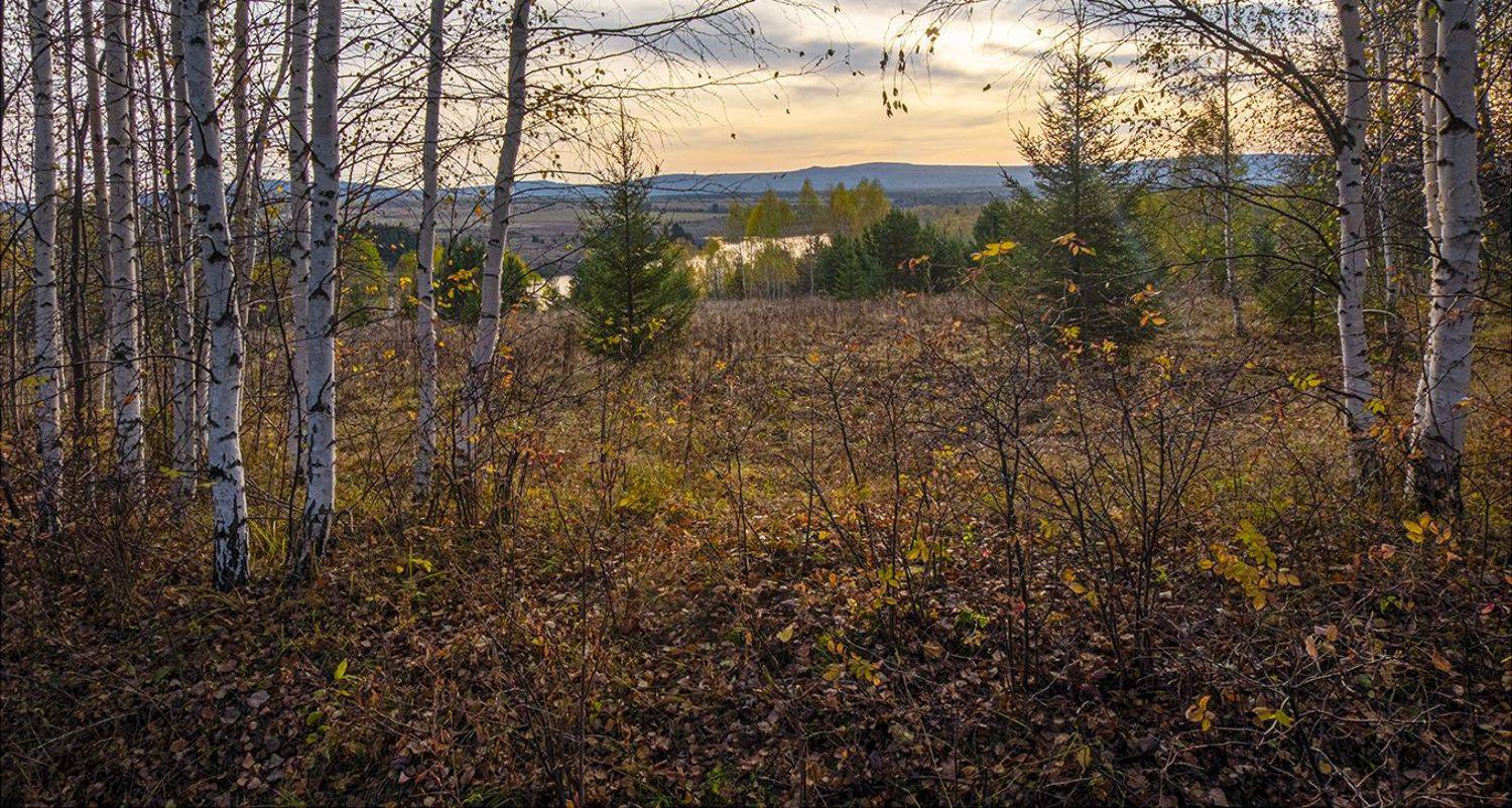 , Александр  Швачко