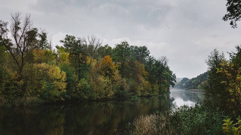 Осень фото превью