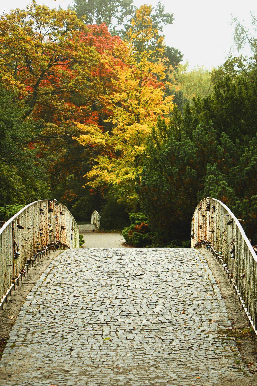 , Жорнова Светлана