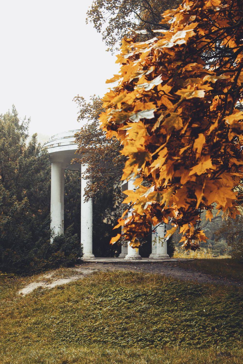 , Жорнова Светлана