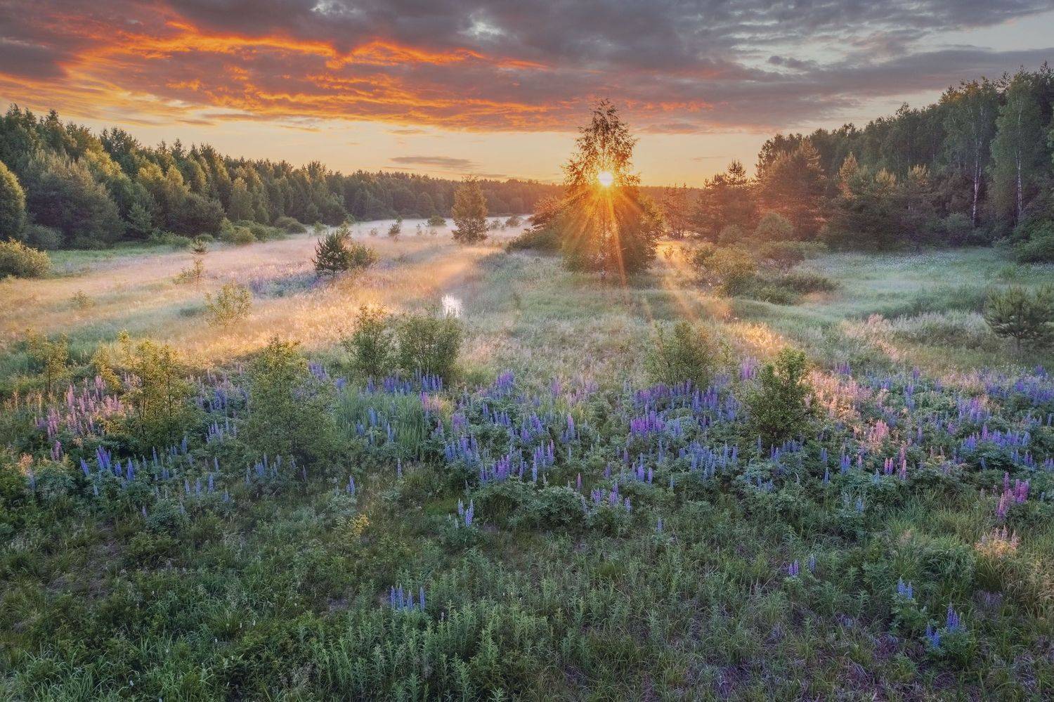 Фототуры с Владимиром Рябковым, #topnature #russpasibo #magic_shots #lovelyRussia #sunset_vision #exclusive_sky  #exclusive_shots #loves_russia2 #photoarena_nature #nature_sultans #nature_perfection #rsa_sky #rsa_sunset #photorussia #rsa_naturepics #sunse, Владимир Рябков