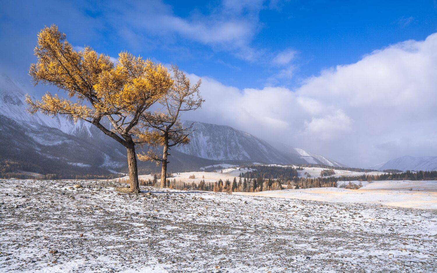 россия, горный алтай,осень,утро,снег, 30 сентября,-9, Андрей Поляков