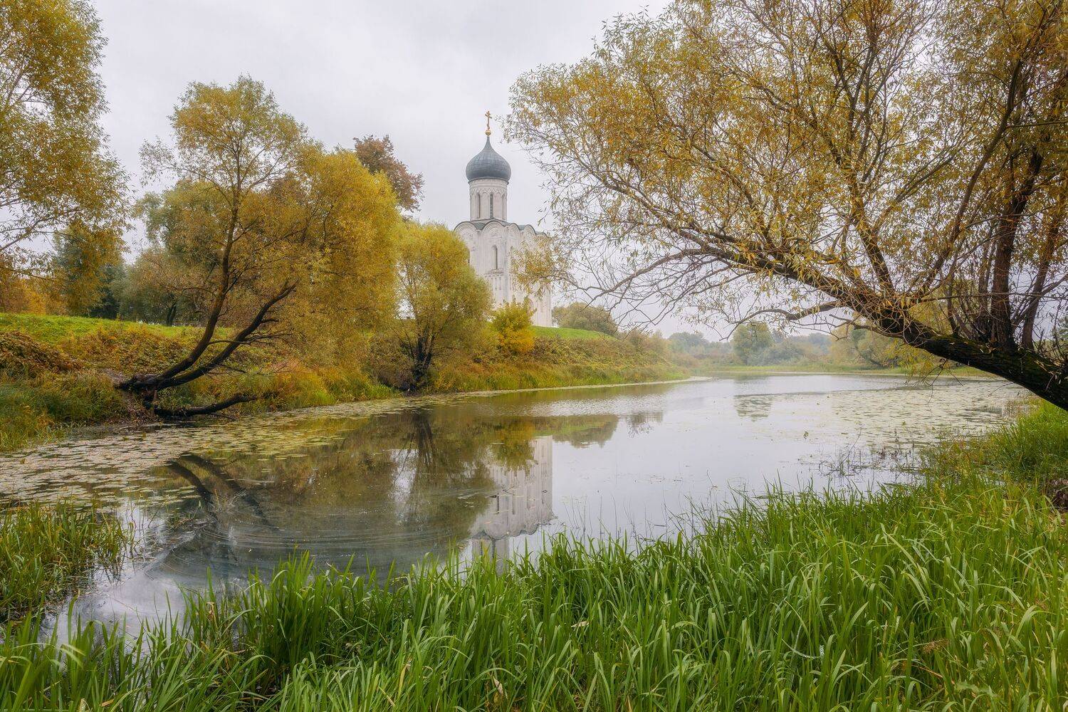 пейзаж, осень, природа, Россия, покрова на нерли, Мартыненко Дмитрий