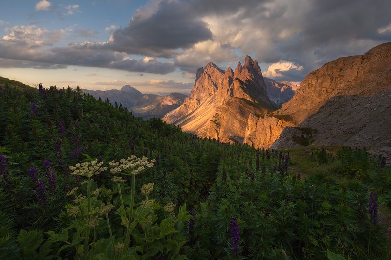 Seceda фото превью