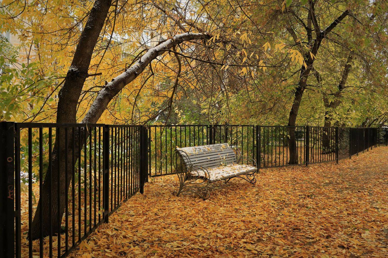 осень,скамейка,листья,сквер, Козлова Галина