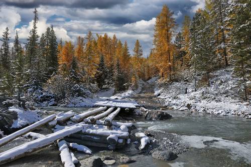 Дорога к ущелью Актру