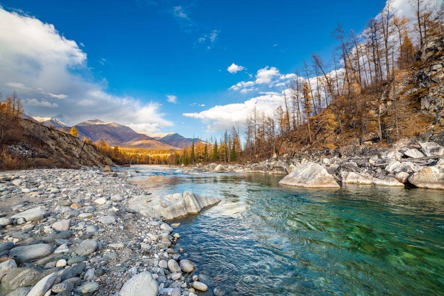 , Буянов Илья