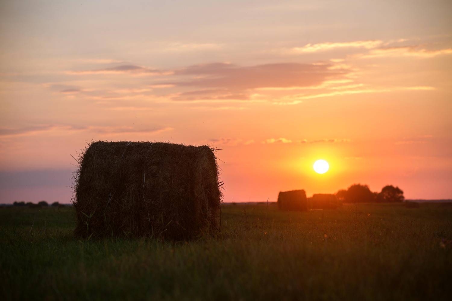 #природа, Чепрасова Мария