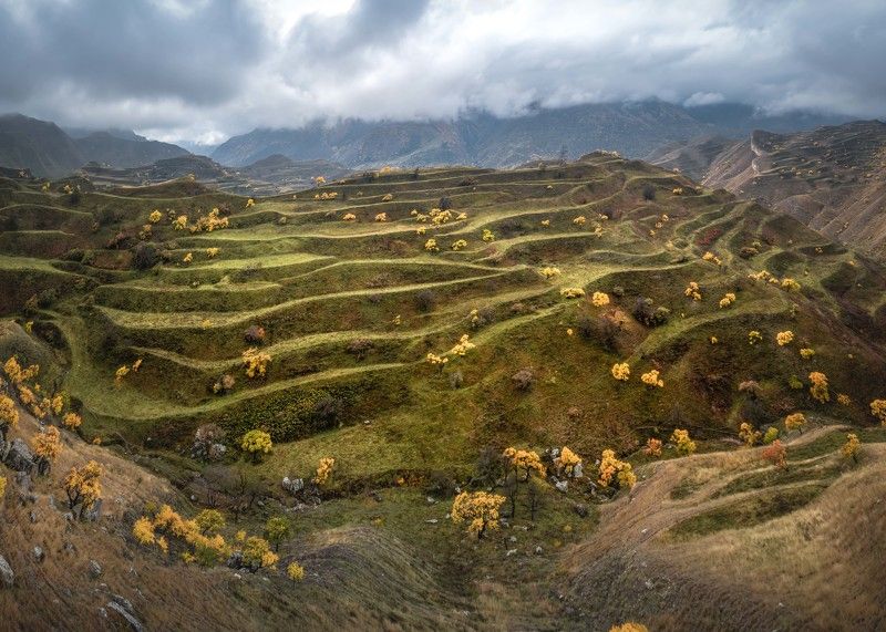 Чудесные террасы…  Great terraces... фото превью